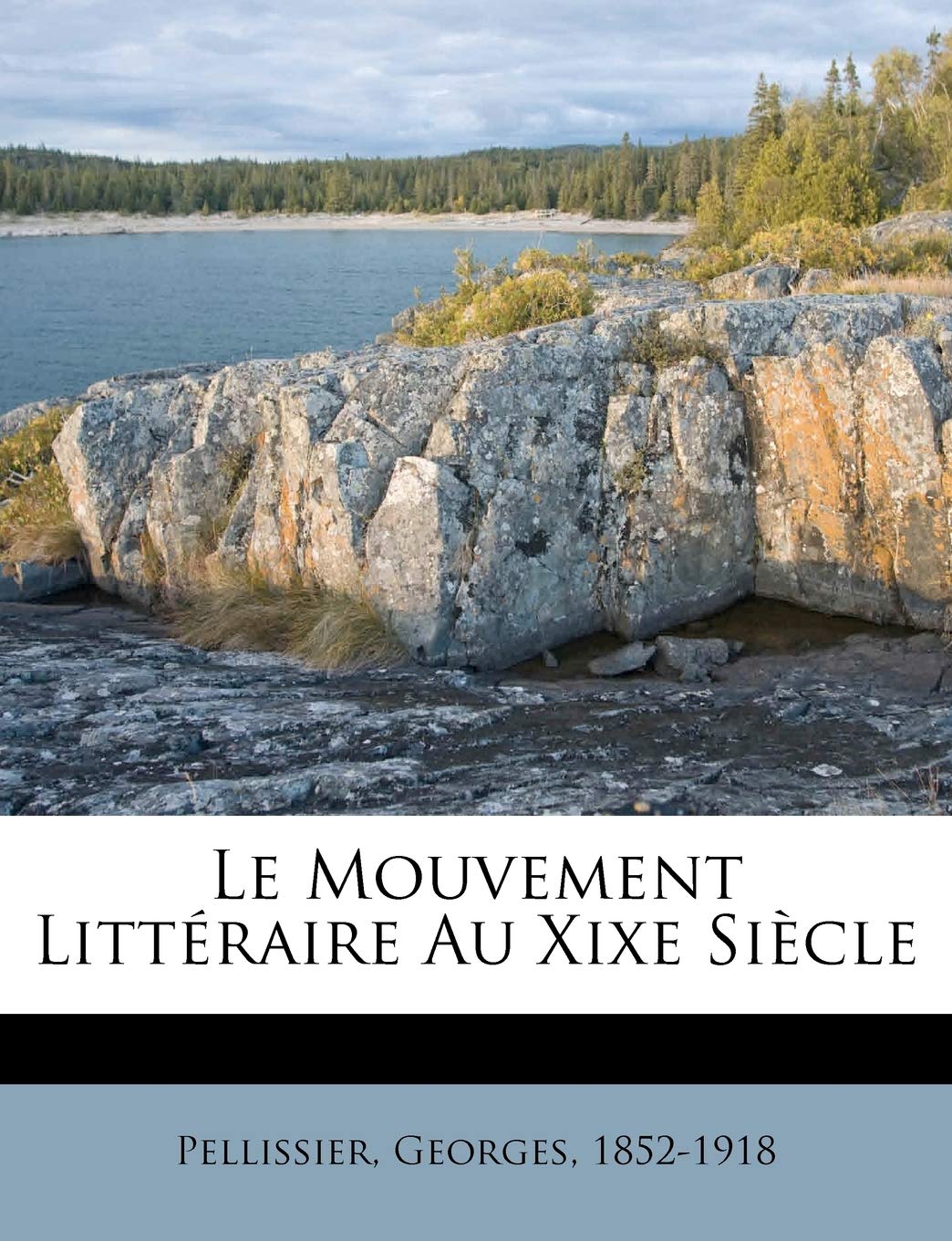 Le Mouvement Littéraire Au Xixe Siècle book