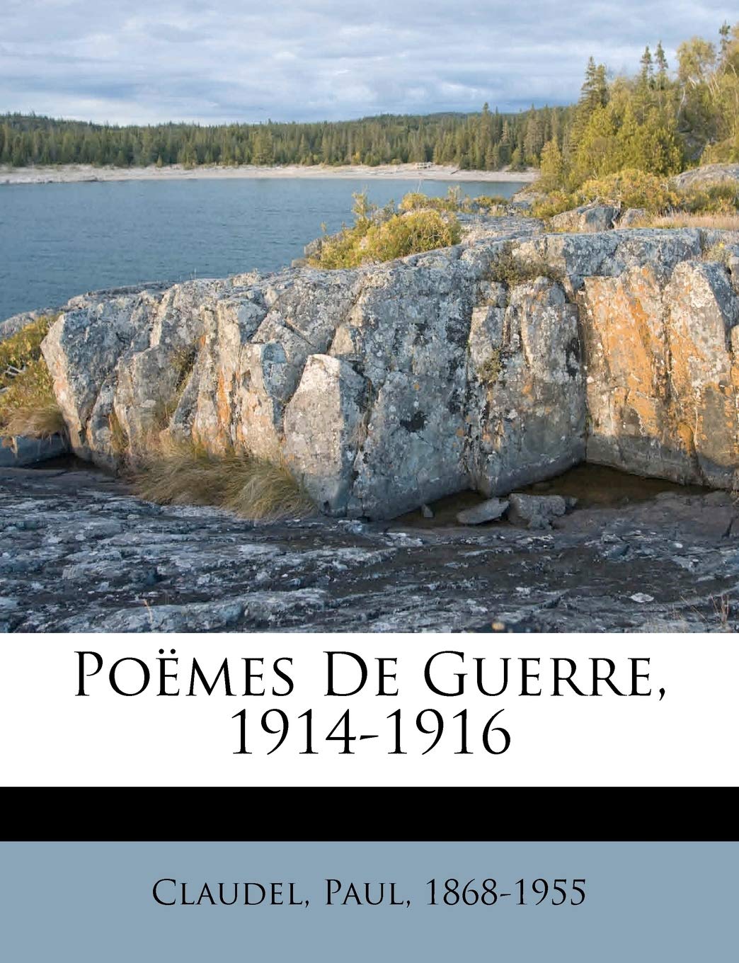 Poëmes de Guerre, 1914-1916 book
