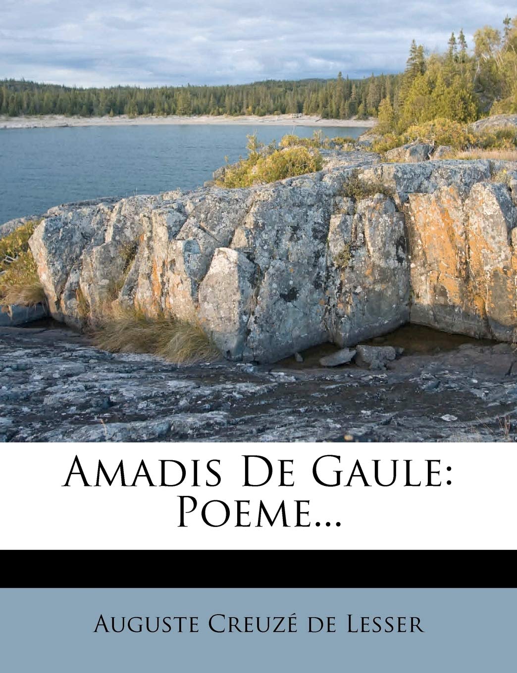 Amadis De Gaule: Poeme... book