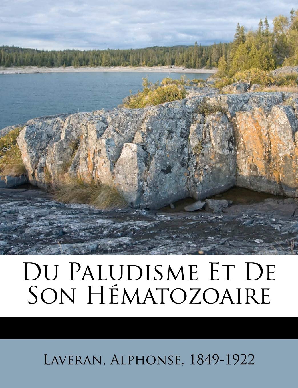 Du Paludisme Et De Son Hématozoaire book