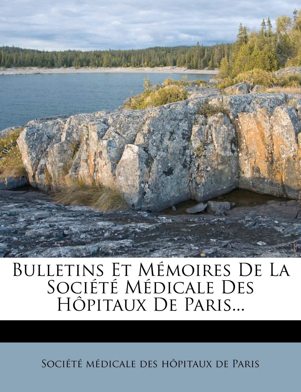 Bulletins Et Mémoires De La Société Médicale Des Hôpitaux De Paris... book