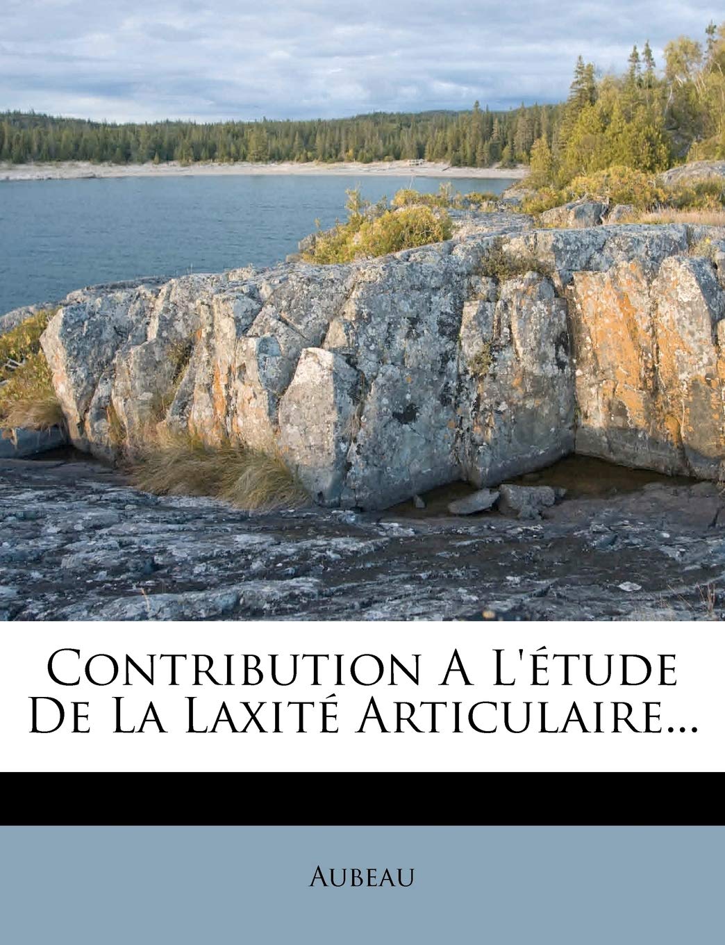 Contribution A L'étude De La Laxité Articulaire... book