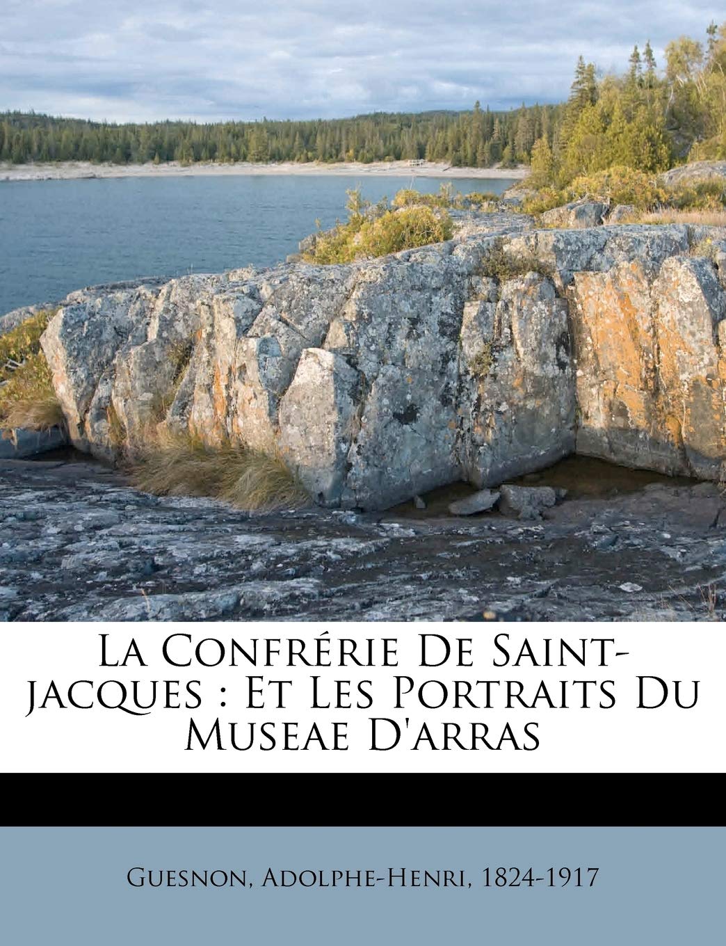La Confrérie De Saint-jacques: Et Les Portraits Du Museae D'arras book