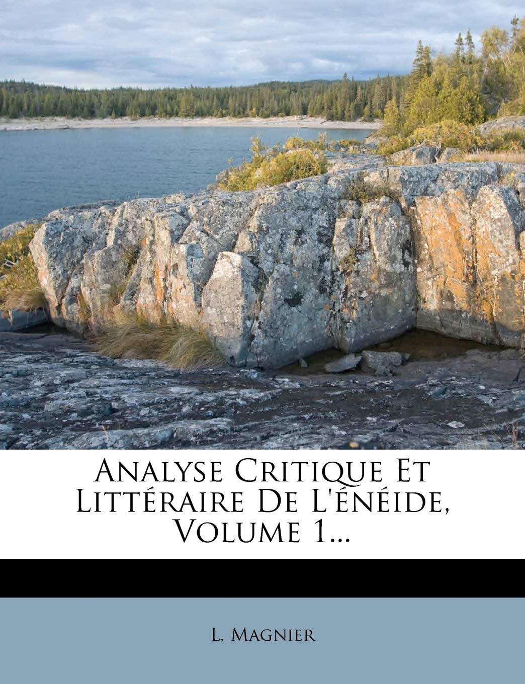 Analyse Critique Et Littraire de l'nide, Volume 1... book
