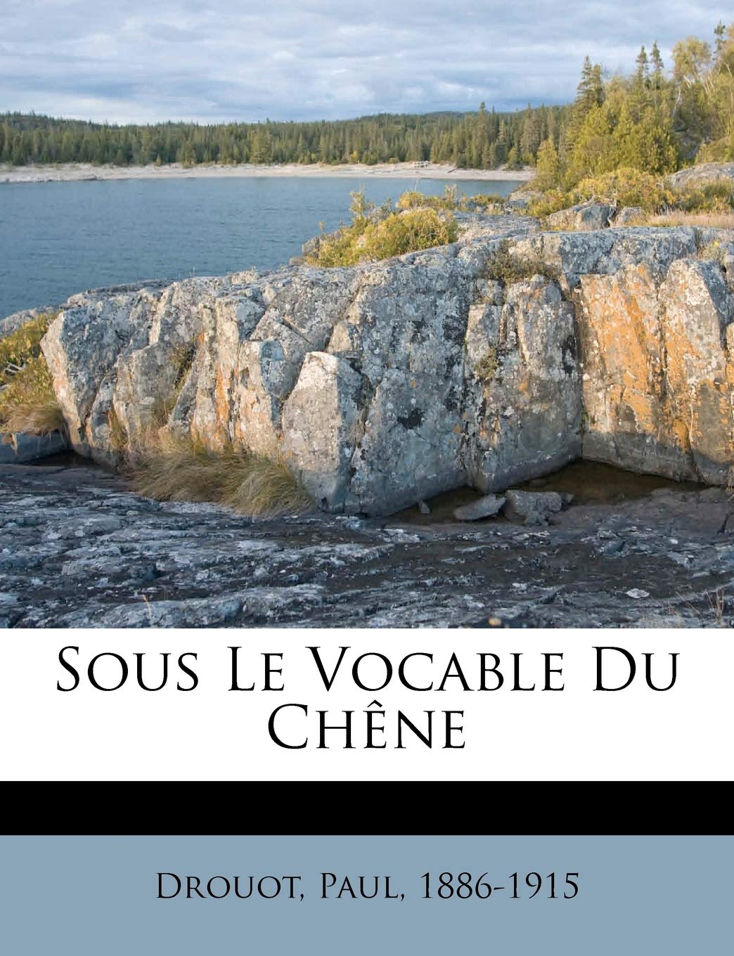 Sous Le Vocable Du Chêne book