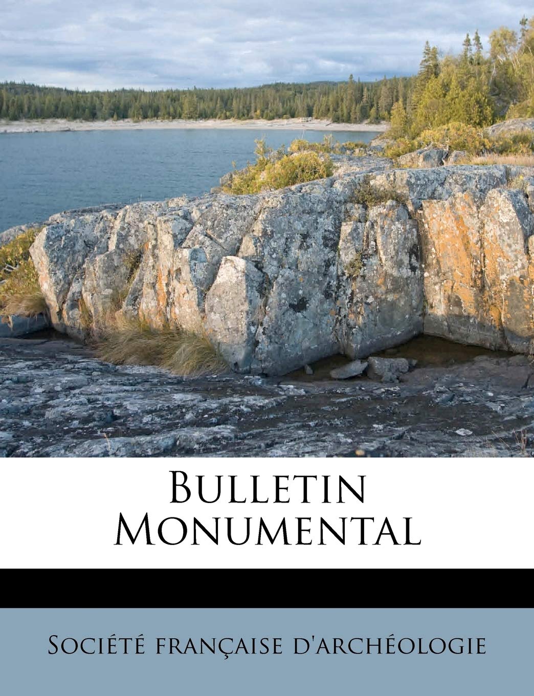Bulletin Monumental book