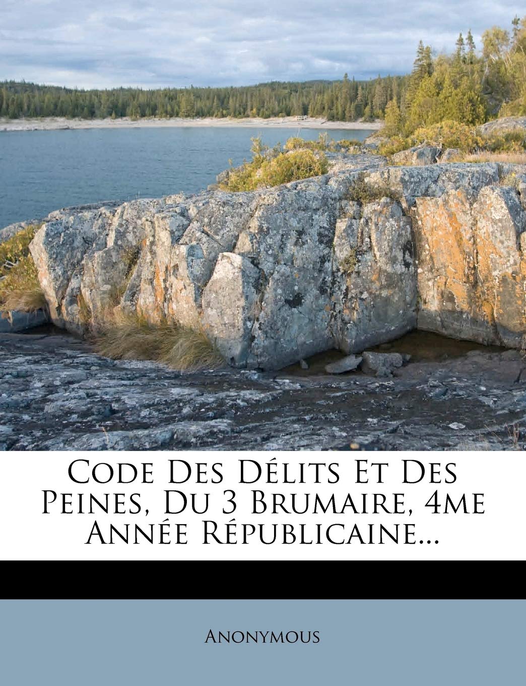 Code Des Dlits Et Des Peines, Du 3 Brumaire, 4me Anne Rpublicaine... book