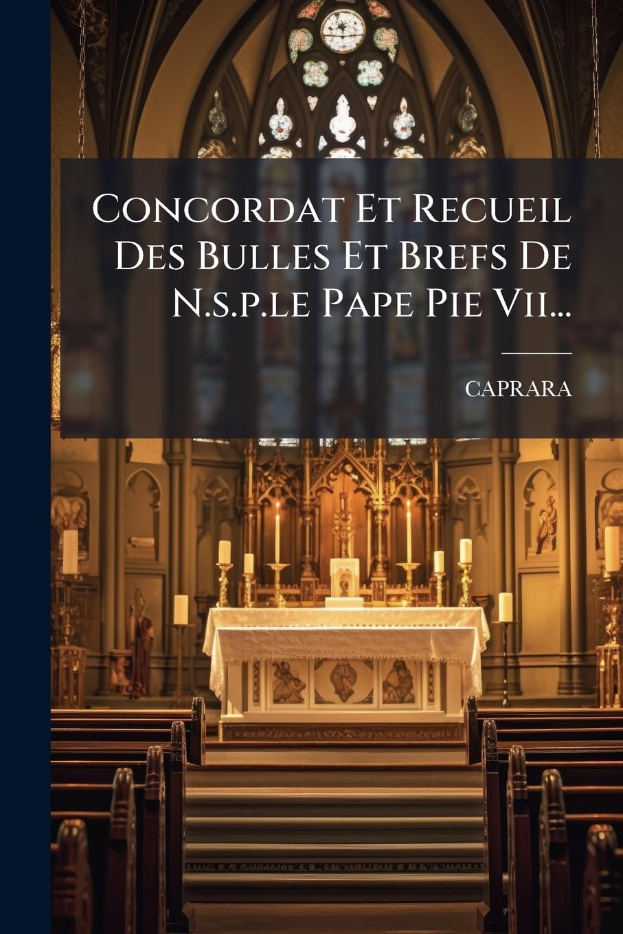 Concordat Et Recueil Des Bulles Et Brefs De N.s.p.le Pape Pie Vii... book