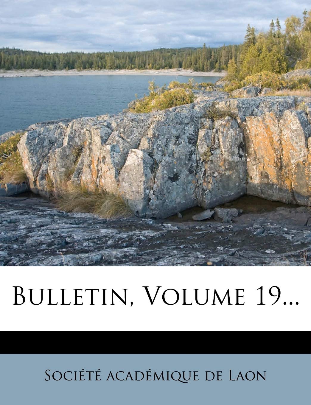 Bulletin, Volume 19... book