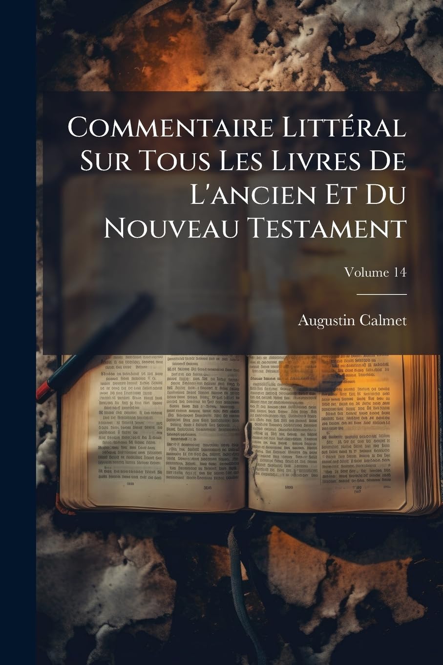 Commentaire Littéral Sur Tous Les Livres De L'ancien Et Du Nouveau Testament, Volume 14 book