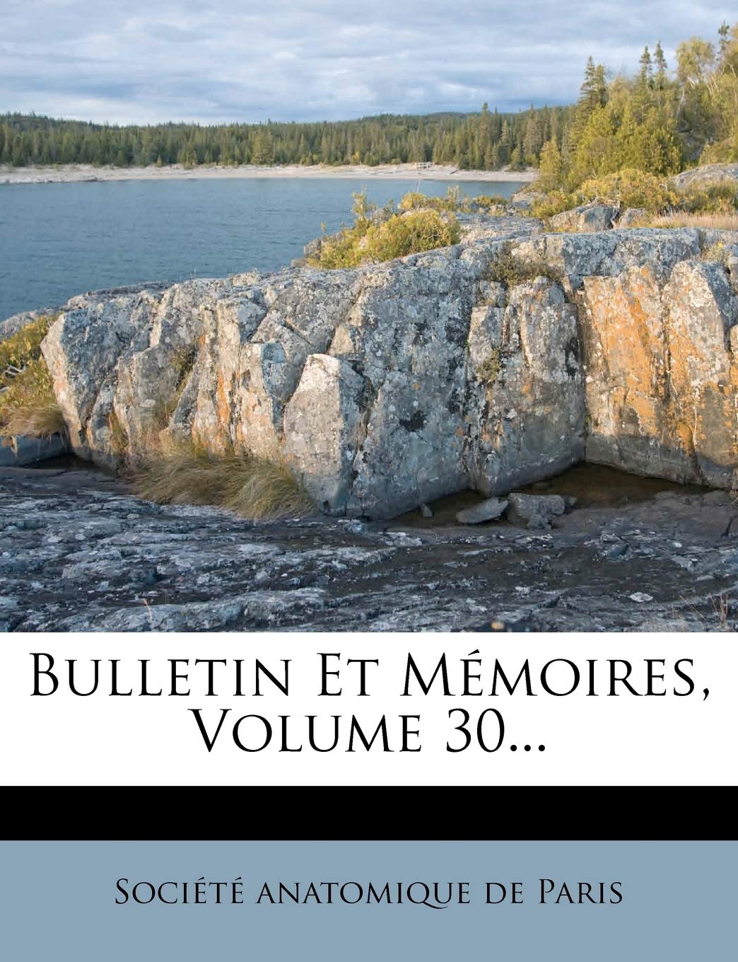 Bulletin Et Memoires, Volume 30... book