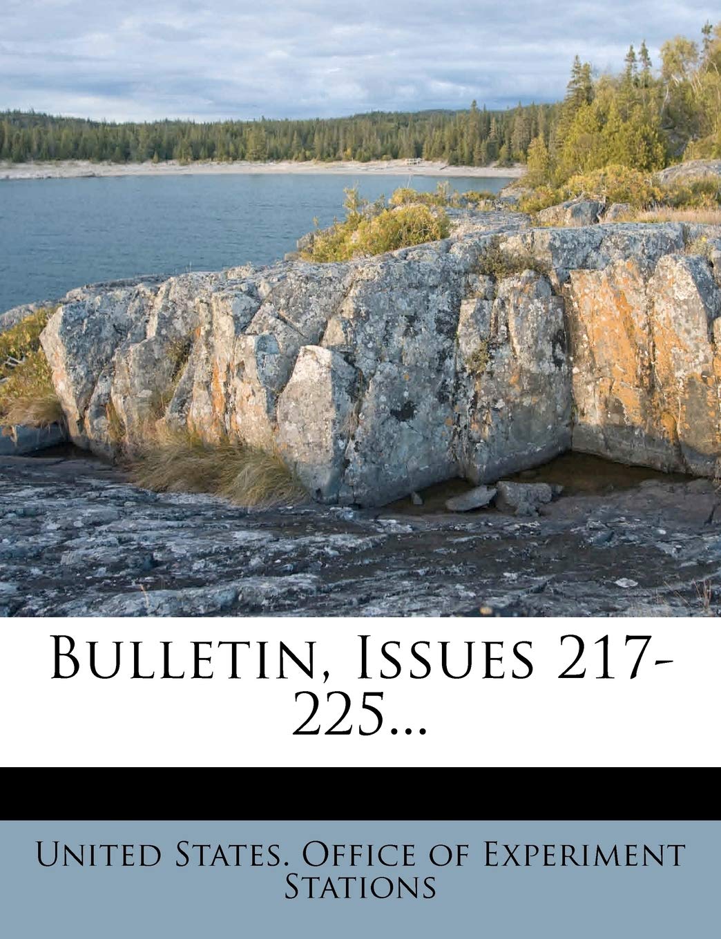 Bulletin, Issues 217-225... Politics & History