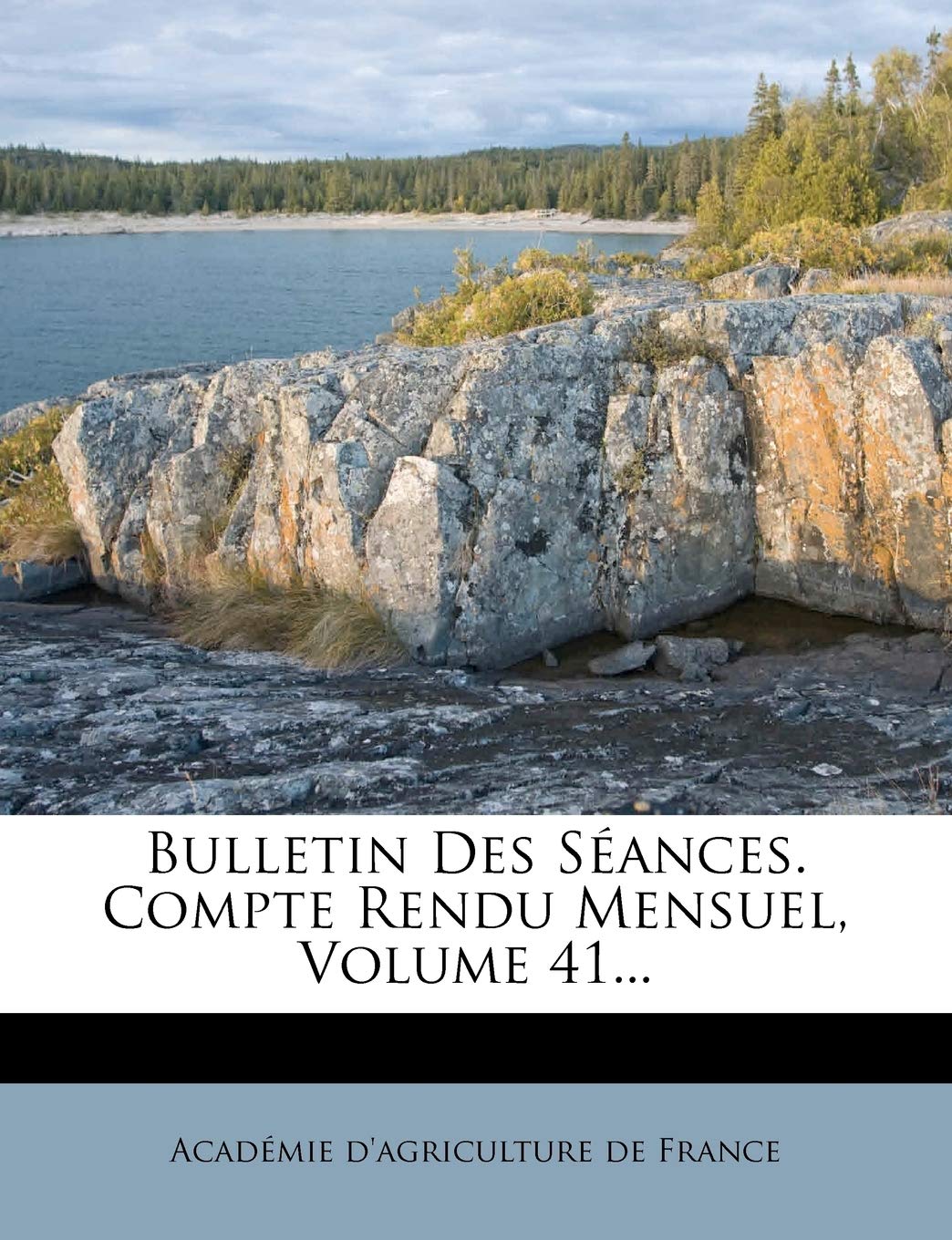Bulletin Des Seances. Compte Rendu Mensuel, Volume 41... Politics & History