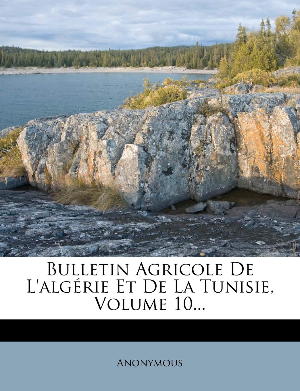 Bulletin Agricole de L'Algerie Et de La Tunisie, Volume 10... book