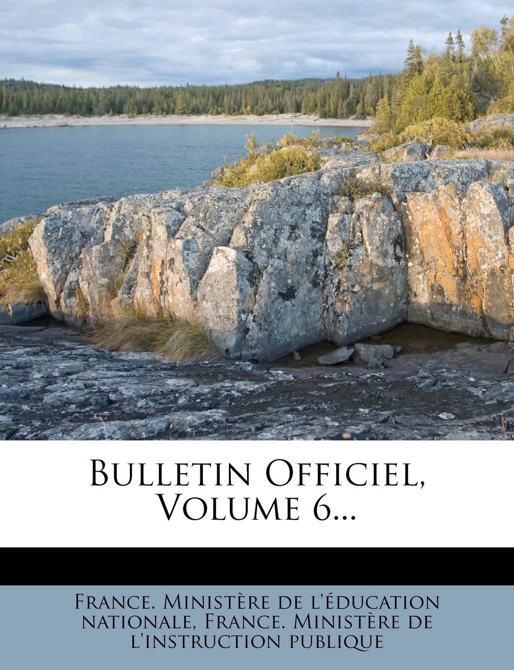 Bulletin Officiel, Volume 6... book