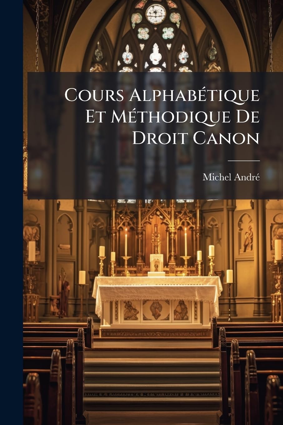 Cours Alphabétique Et Méthodique De Droit Canon: (viii, 9-1316 Col.)... book
