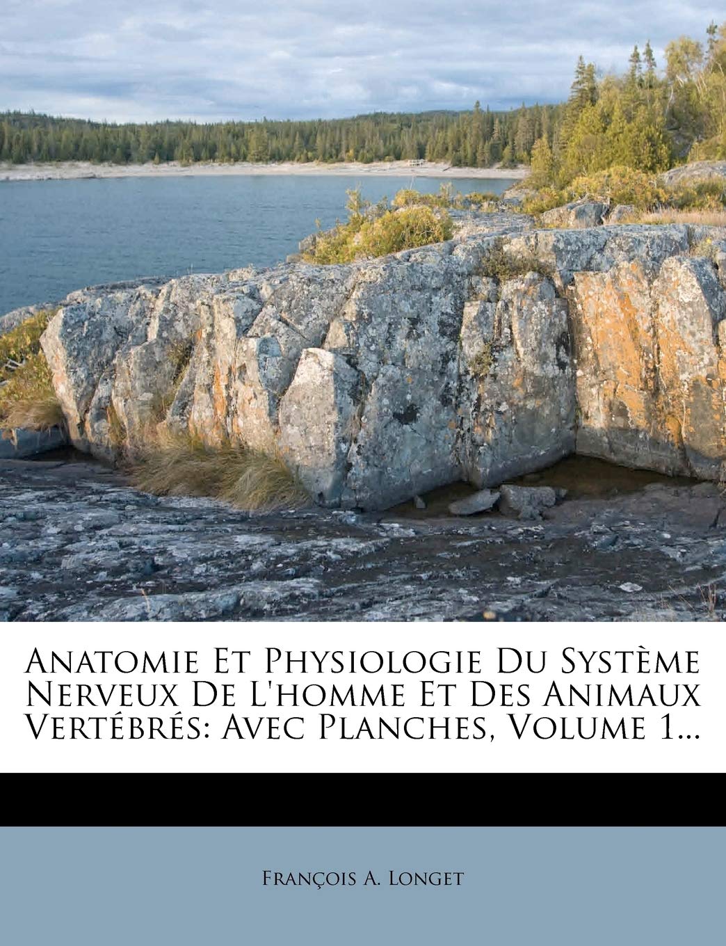 Anatomie Et Physiologie Du Systeme Nerveux de L'Homme Et Des Animaux Vertebres: Avec Planches, Volume 1... book