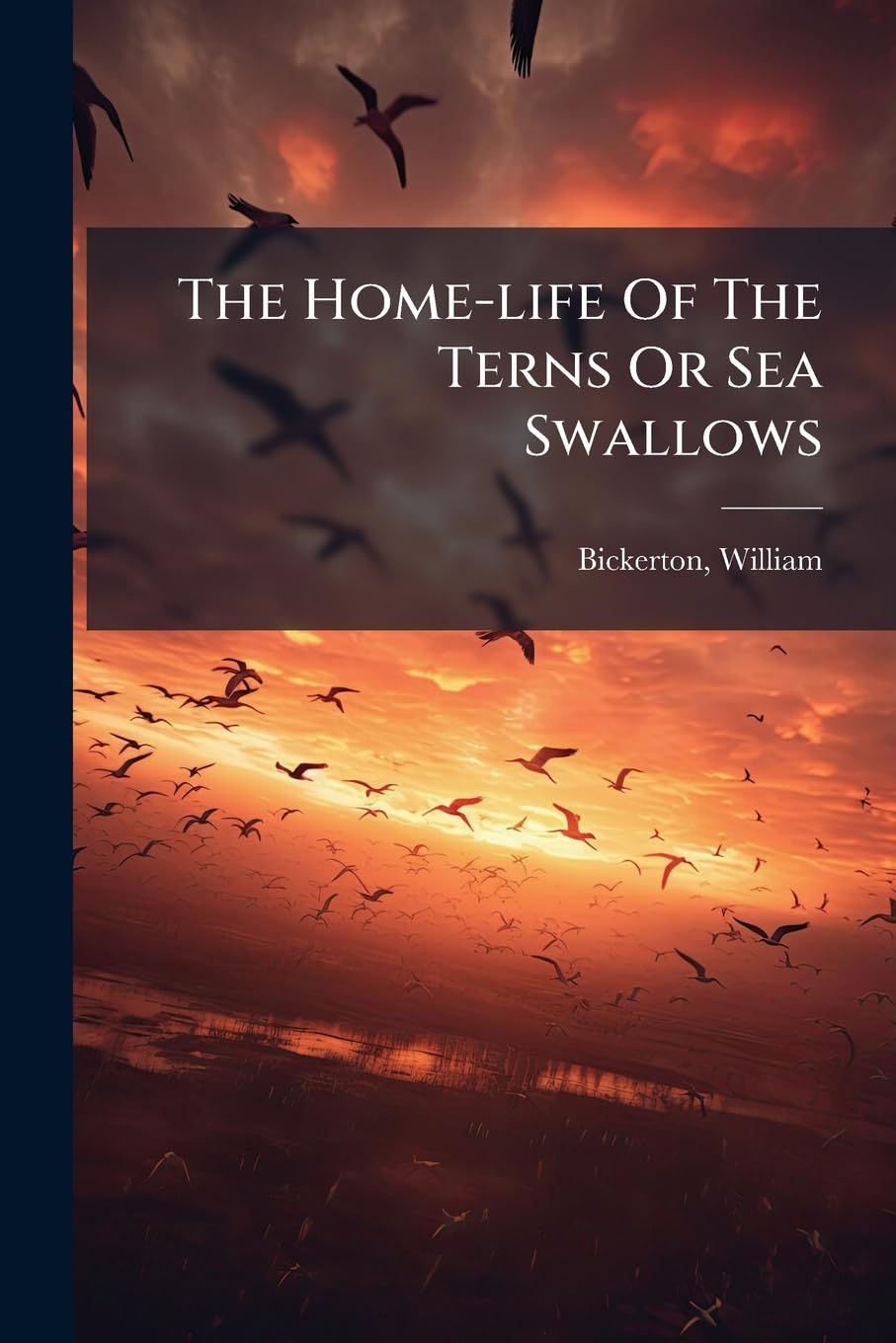 The Home-Life of the Terns or Sea Swallows Mathematics