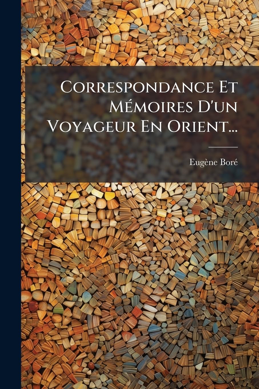 Correspondance Et Mémoires D'un Voyageur En Orient... book