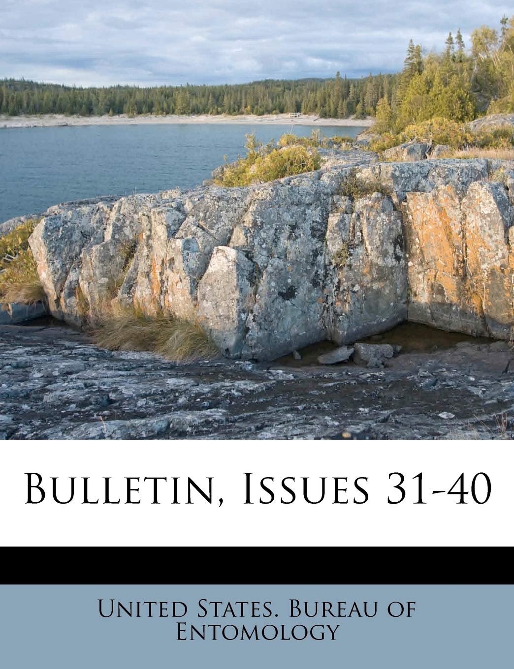 Bulletin, Issues 31-40 Politics & History