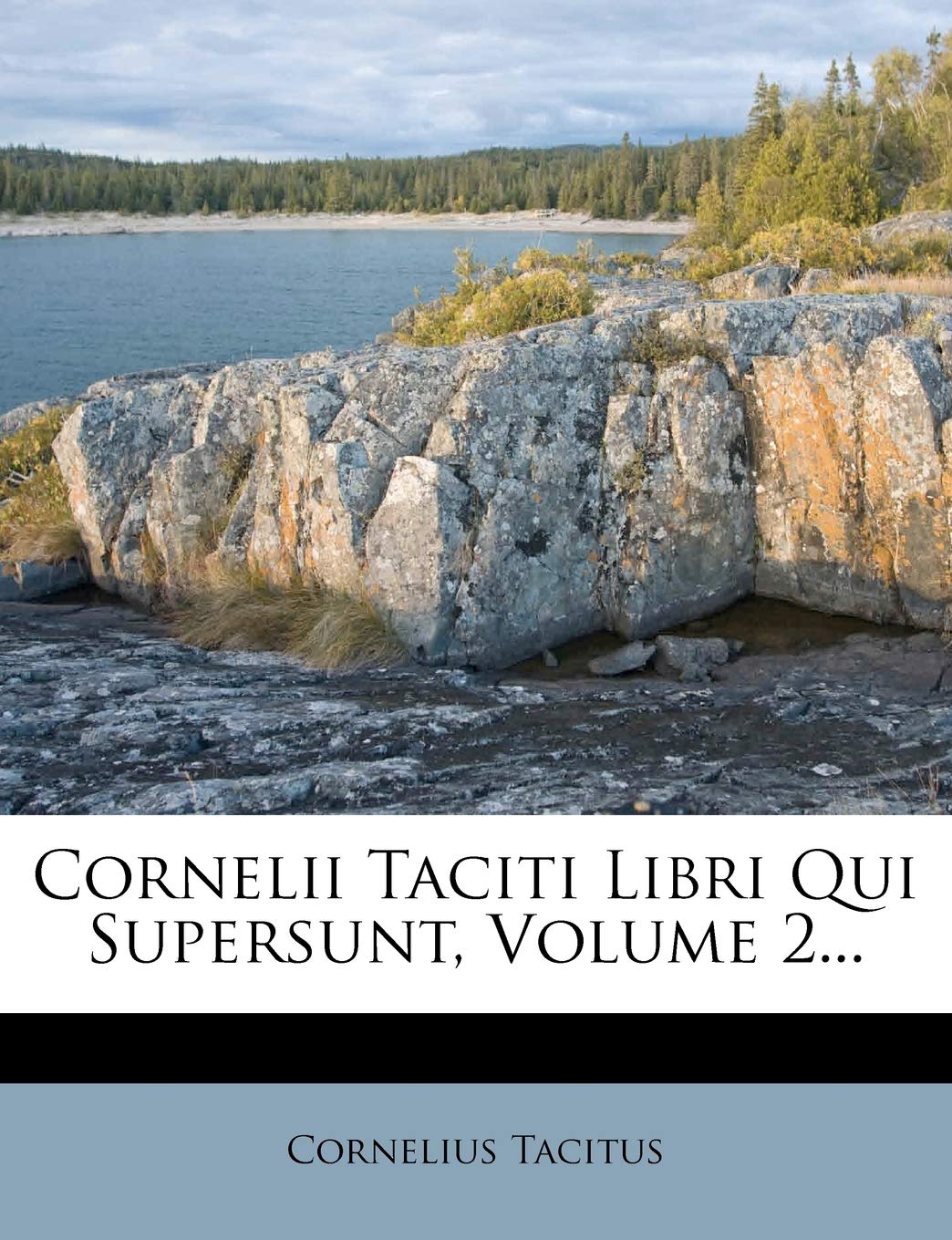 Cornelii Taciti Libri Qui Supersunt, Volume 2... book