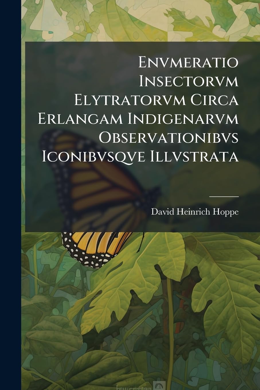 Envmeratio Insectorvm Elytratorvm Circa Erlangam Indigenarvm Observationibvs Iconibvsqve Illvstrata Politics & History