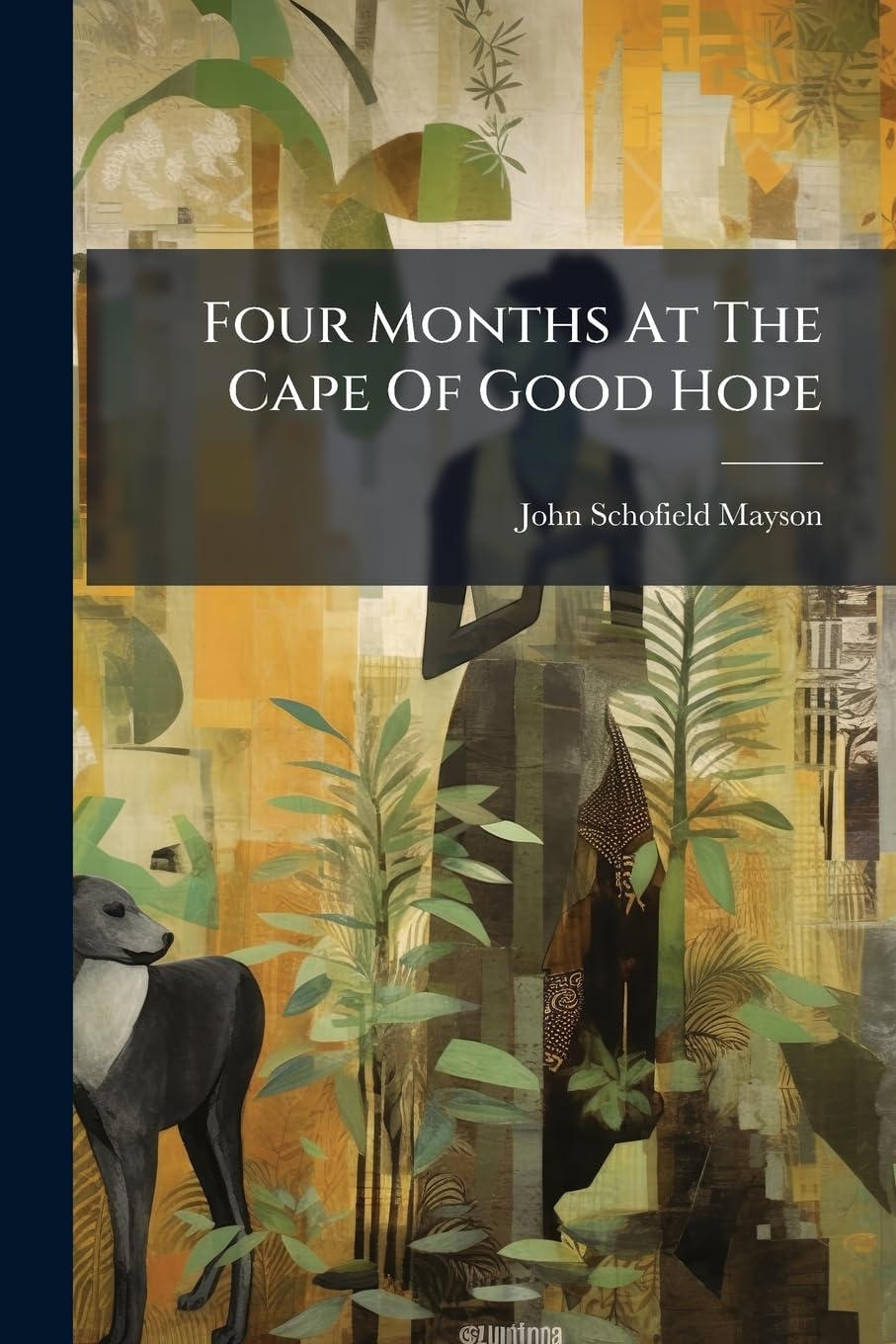 Four Months at the Cape of Good Hope Politics & Society