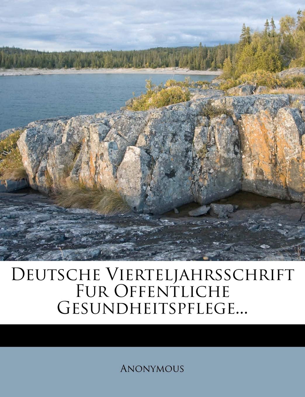 Deutsche Vierteljahrsschrift Fur Offentliche Gesundheitspflege. Funfzehnter Band. Politics & History