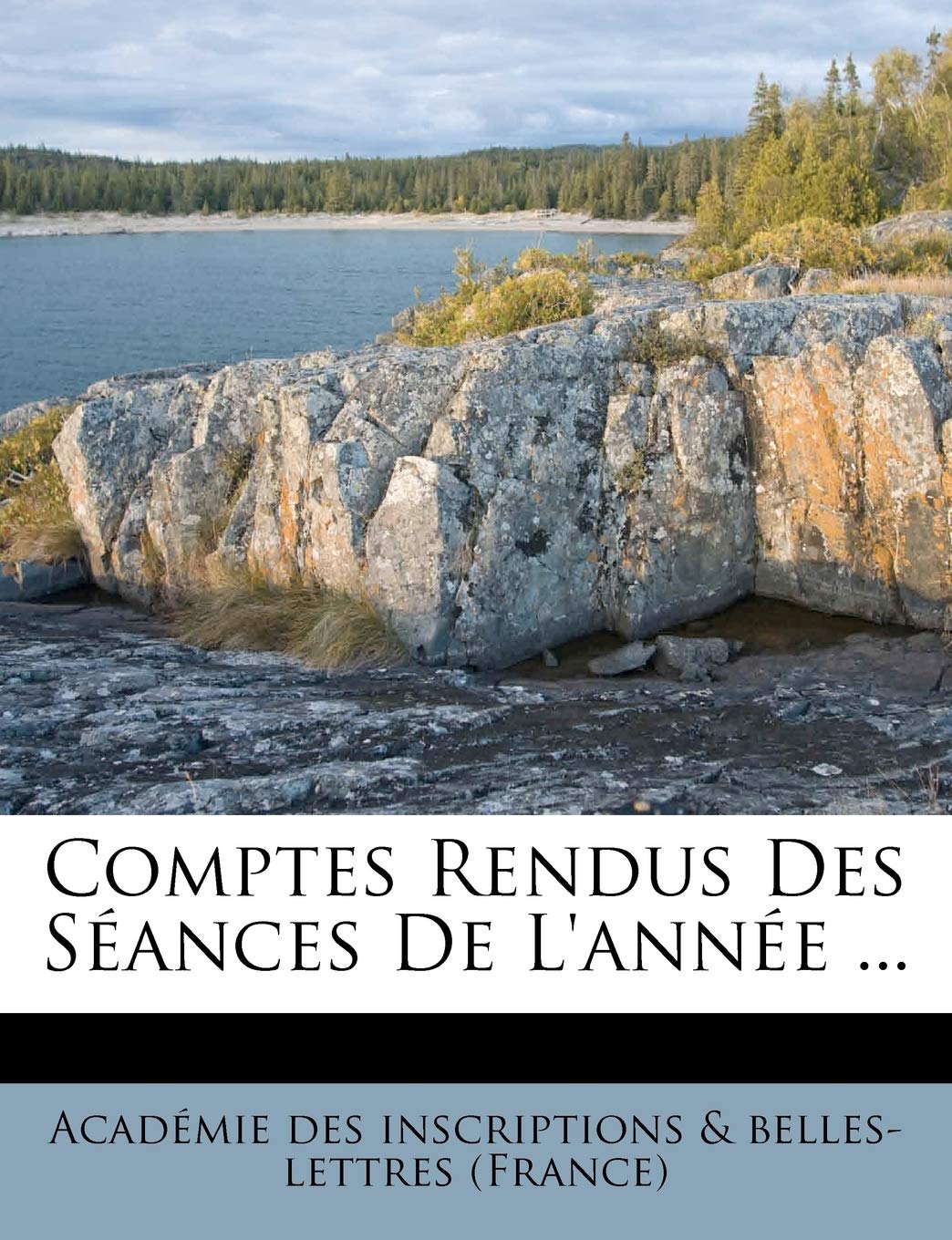 Comptes Rendus Des Seances de L'Annee ... book