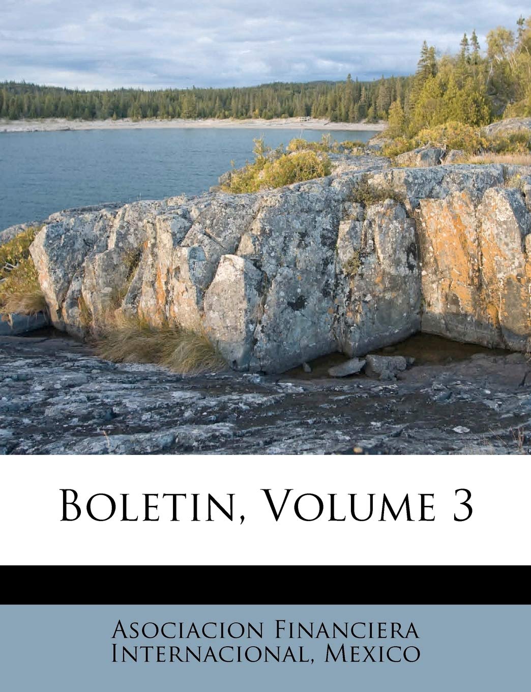 Boletin, Volume 3 Politics & History