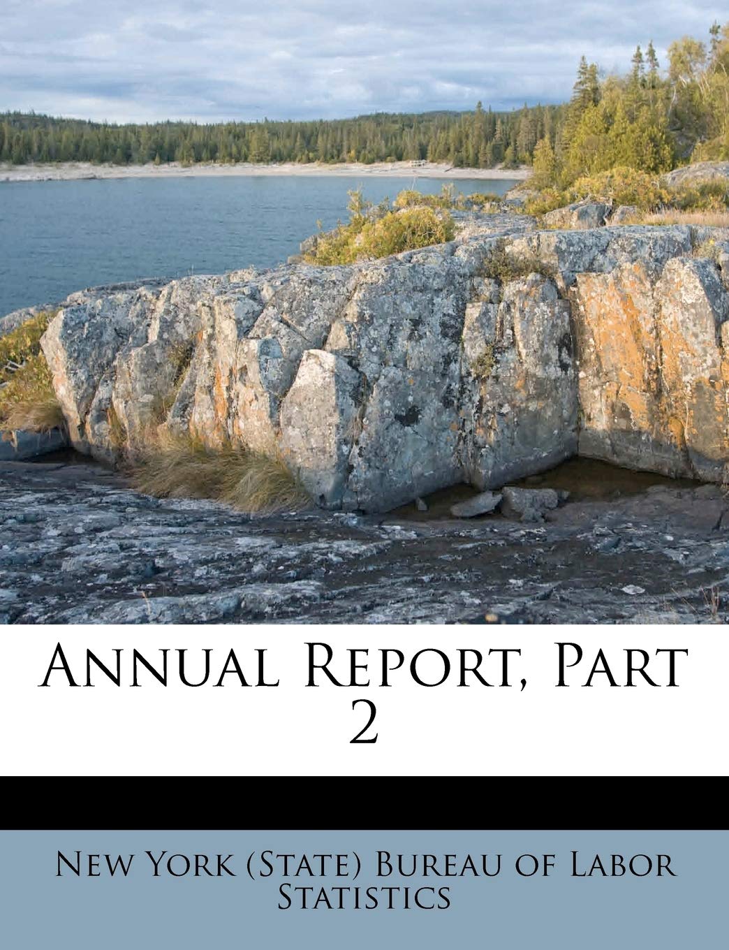 Annual Report, Part 2 Politics & History