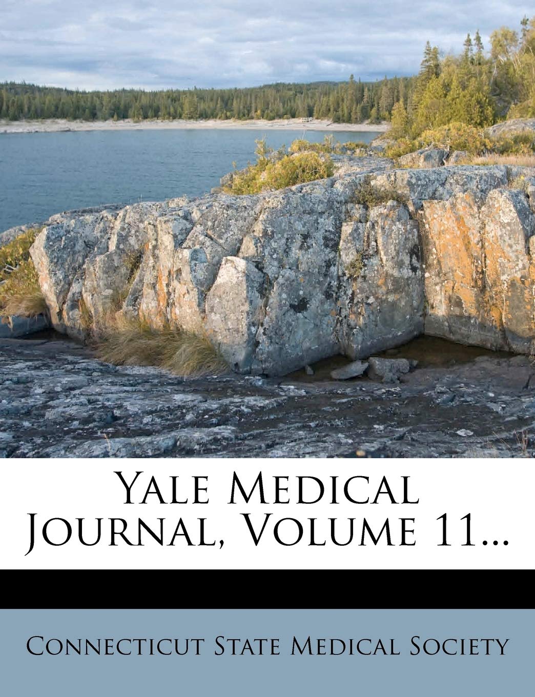 Yale Medical Journal, Volume 11... Medicine