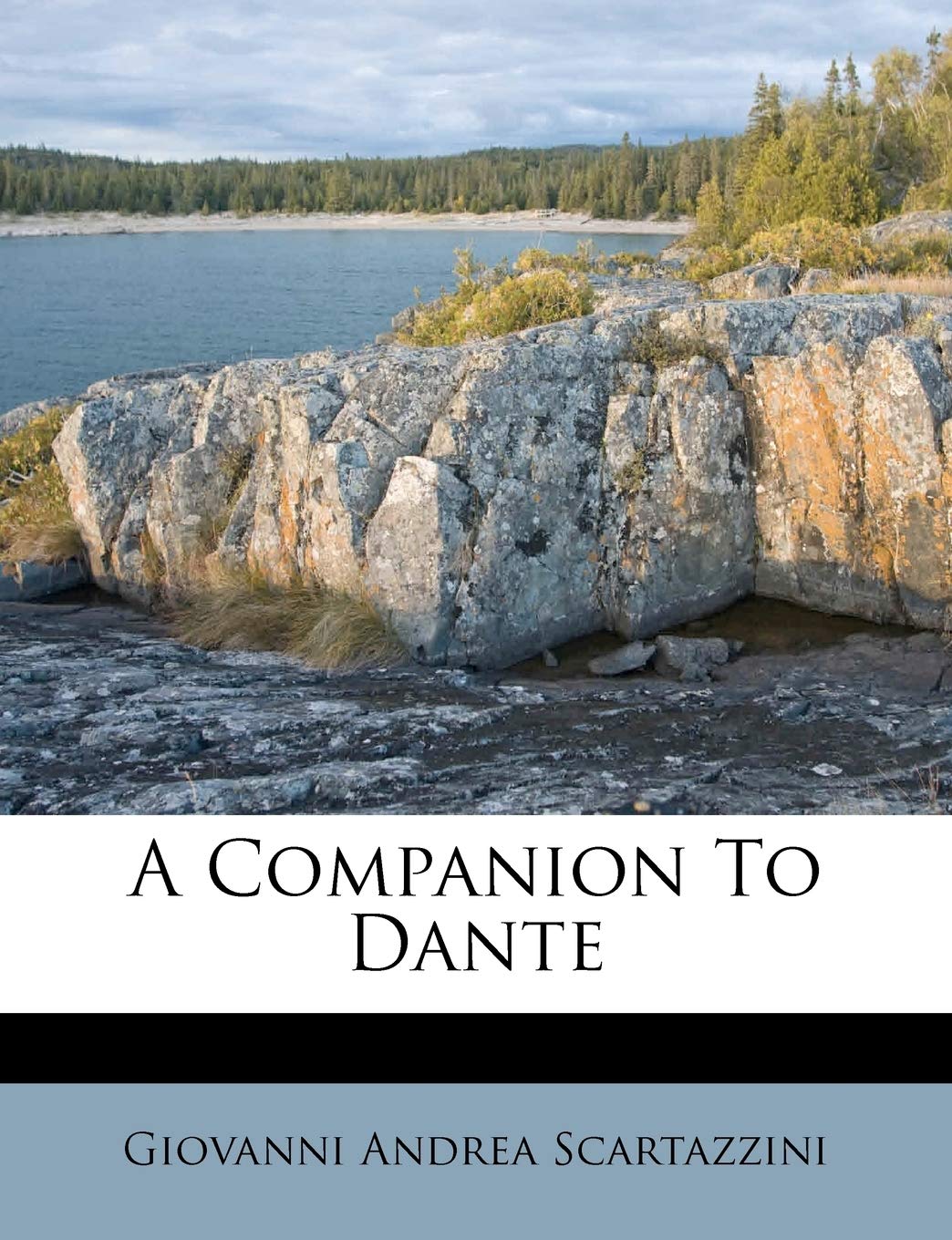 A Companion To Dante Contemporary literature