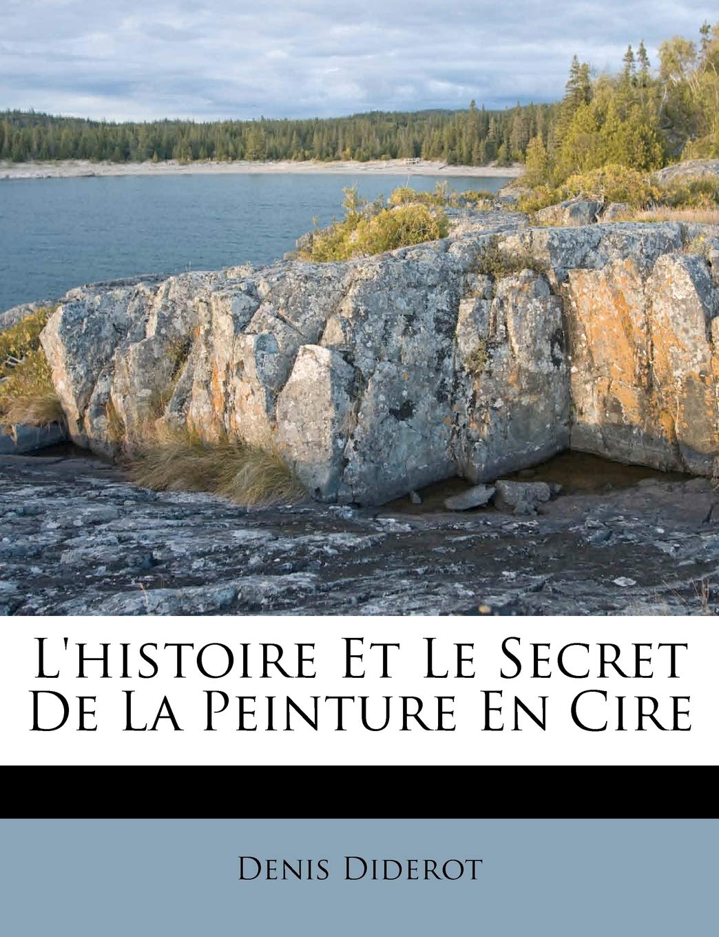 L'histoire Et Le Secret De La Peinture En Cire book