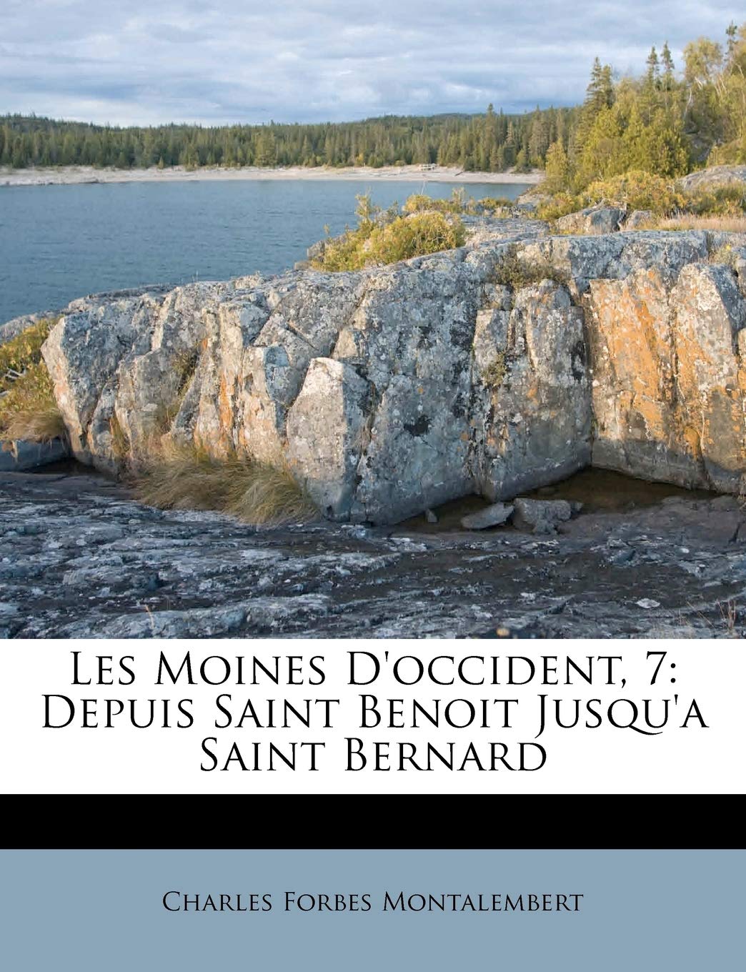 Les Moines D'Occident, 7: Depuis Saint Benoit Jusqu'a Saint Bernard Politics & History