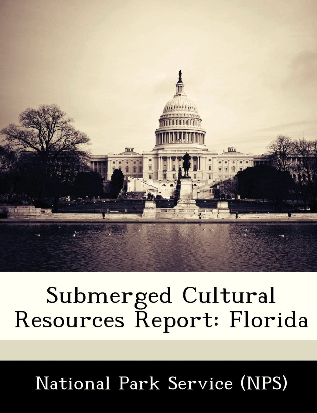 Submerged Cultural Resources Report: Florida Politics & History
