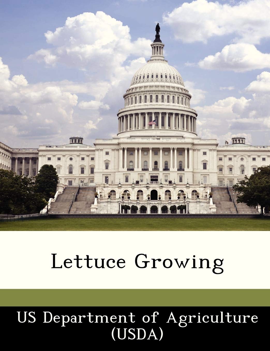 Lettuce Growing Politics & History