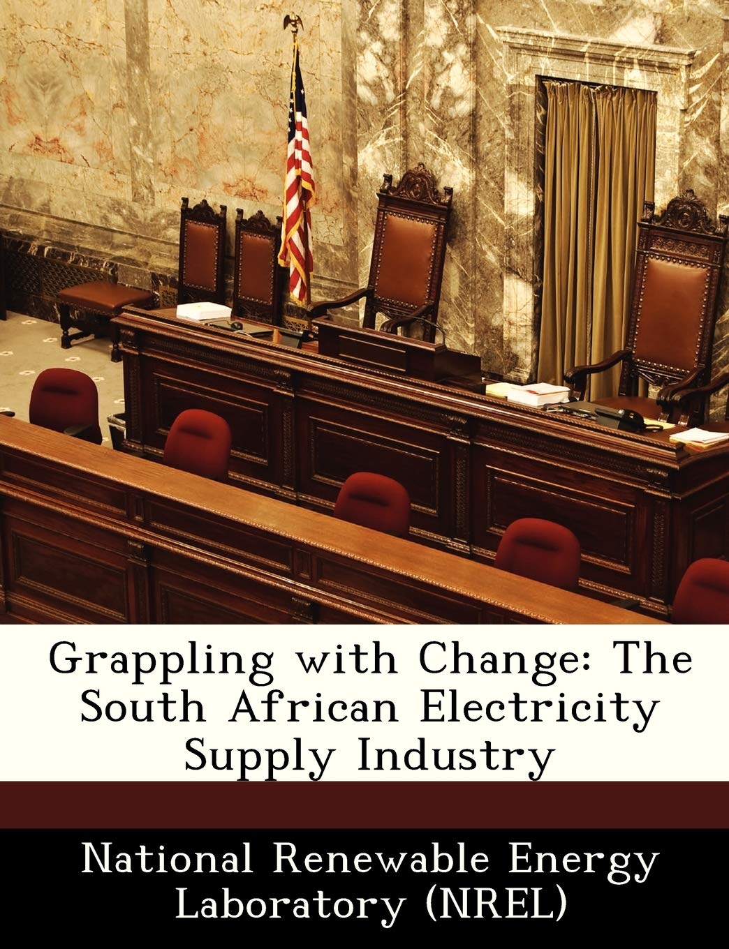 Grappling with Change: The South African Electricity Supply Industry Politics & History