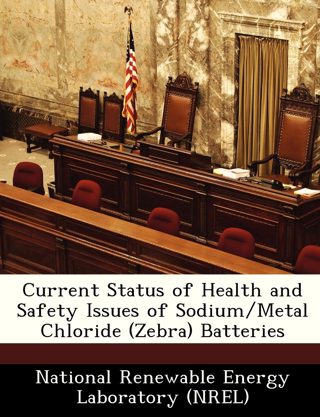 Current Status of Health and Safety Issues of Sodium/Metal Chloride (Zebra) Batteries Politics & History