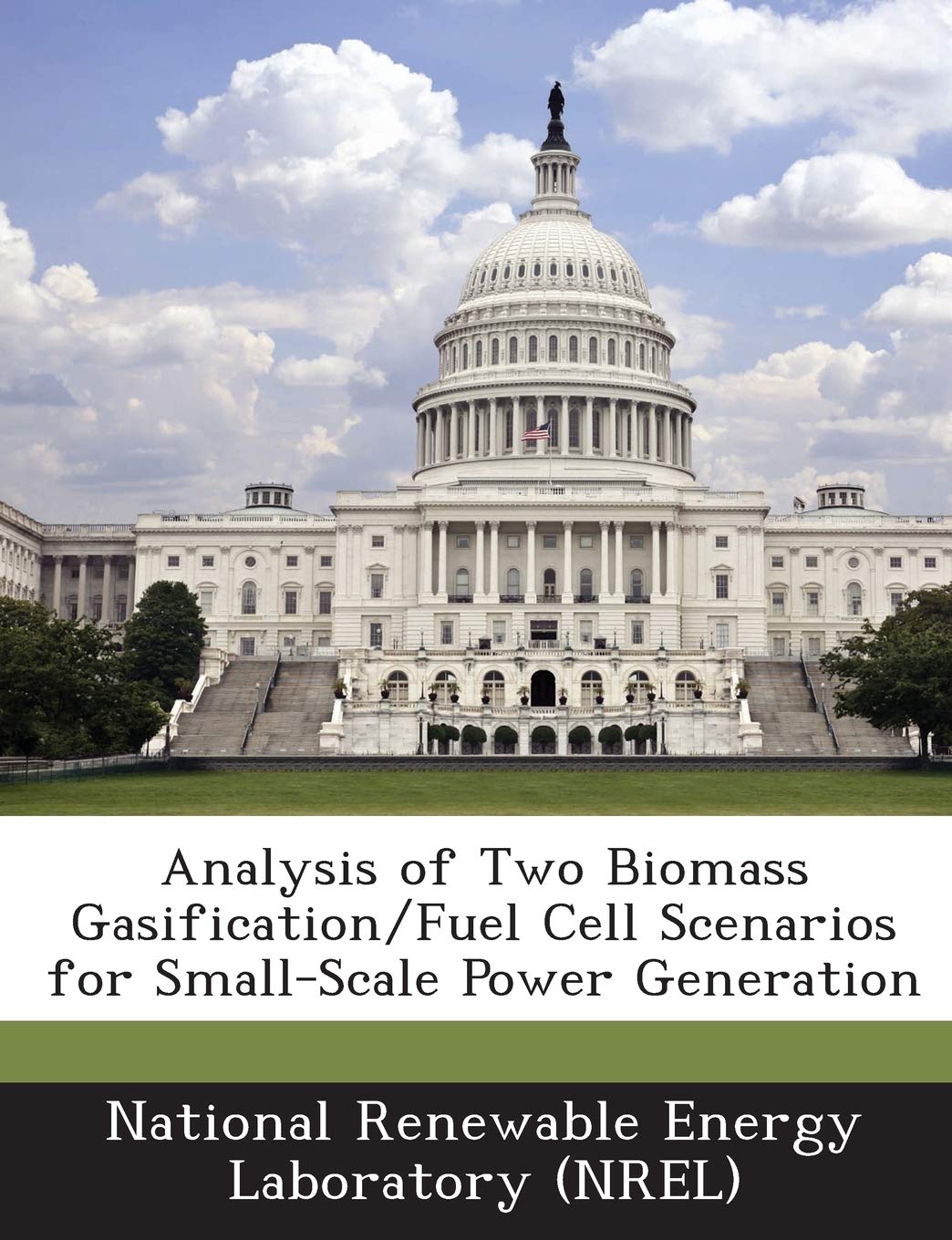 Analysis of Two Biomass Gasification/Fuel Cell Scenarios for Small-Scale Power Generation Politics & History