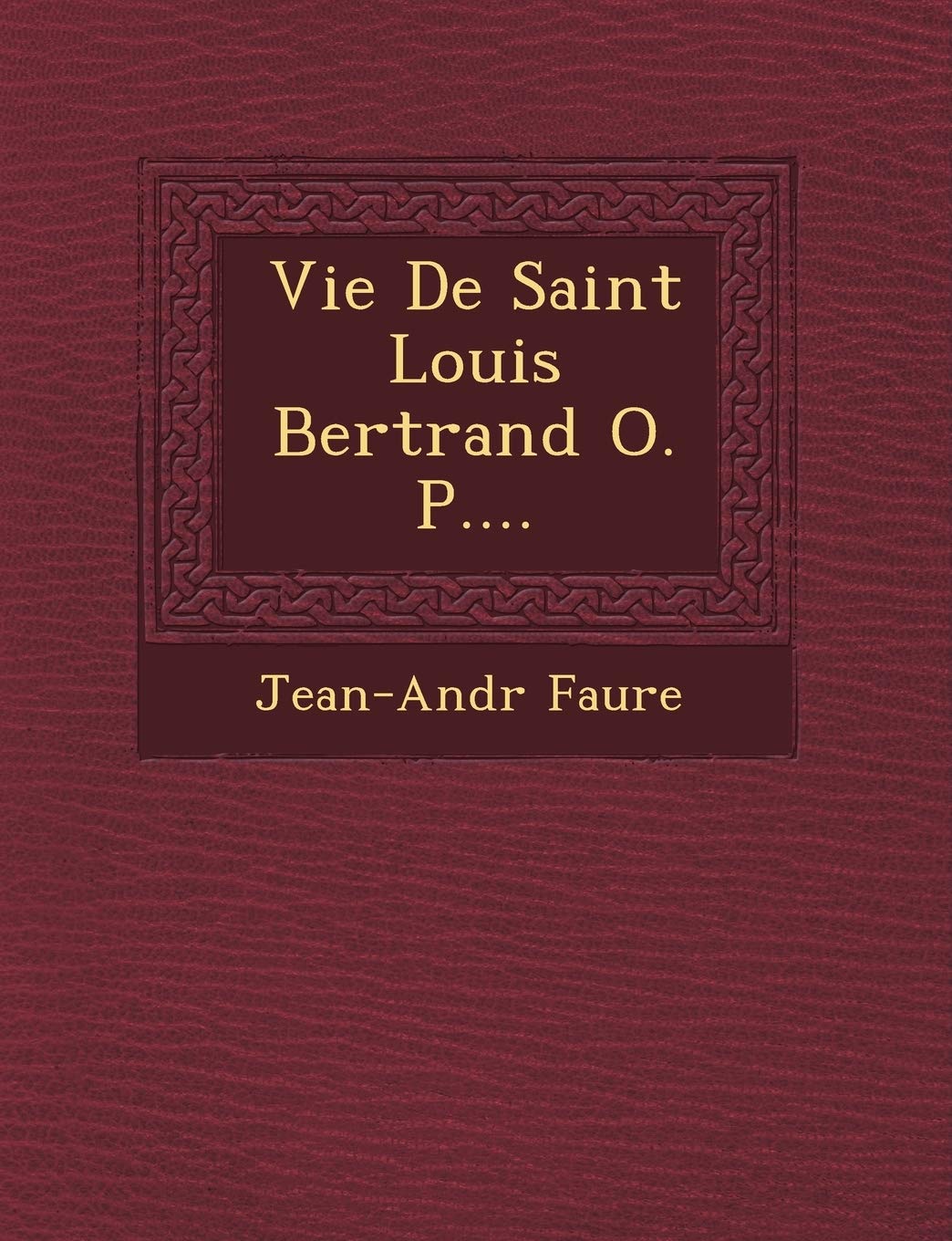 Vie de Saint Louis Bertrand O. P.... book