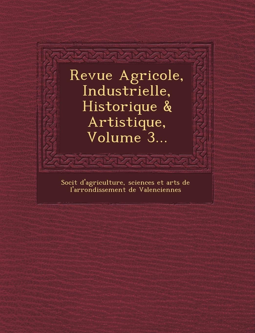Revue Agricole, Industrielle, Historique & Artistique, Volume 3... book
