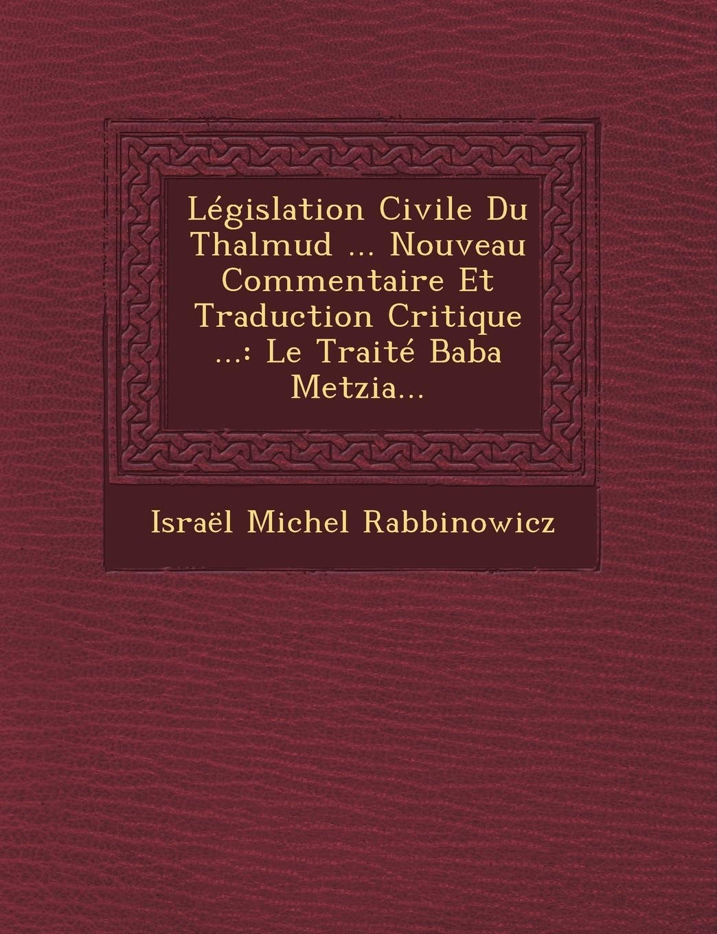 Législation Civile Du Thalmud ... Nouveau Commentaire Et Traduction Critique ...: Le Traité Baba Metzia... book