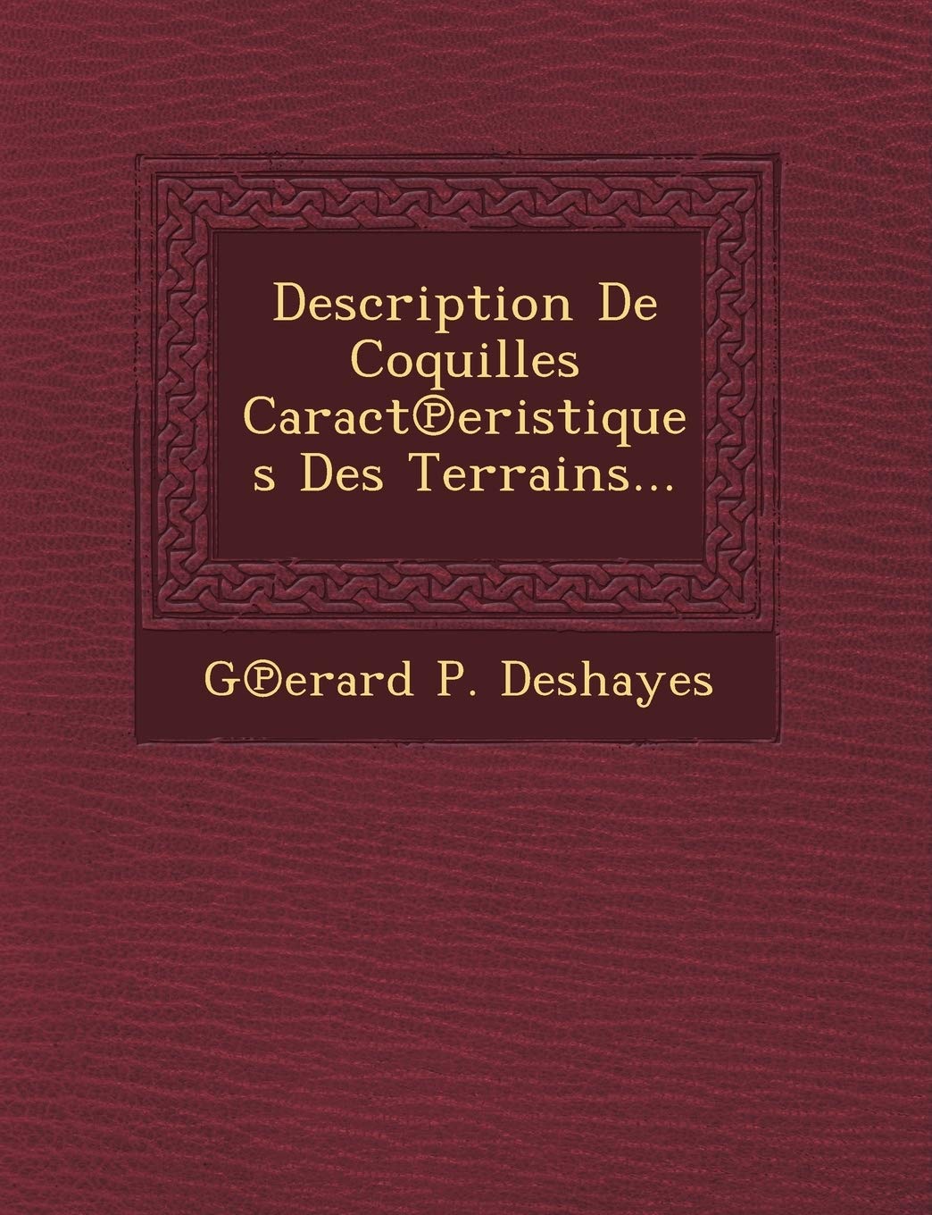 Description de Coquilles Caract Eristiques Des Terrains... book