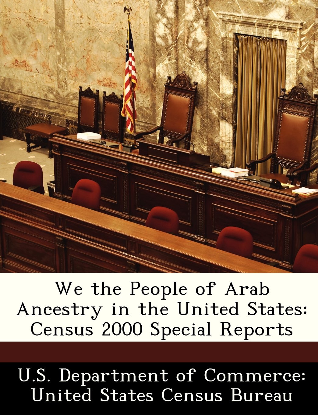 We the People of Arab Ancestry in the United States: Census 2000 Special Reports Politics & History