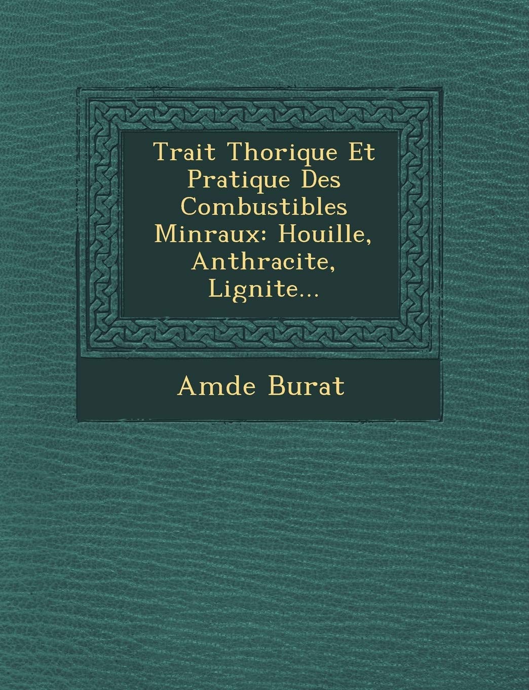 Trait Th Orique Et Pratique Des Combustibles Min Raux: Houille, Anthracite, Lignite... book