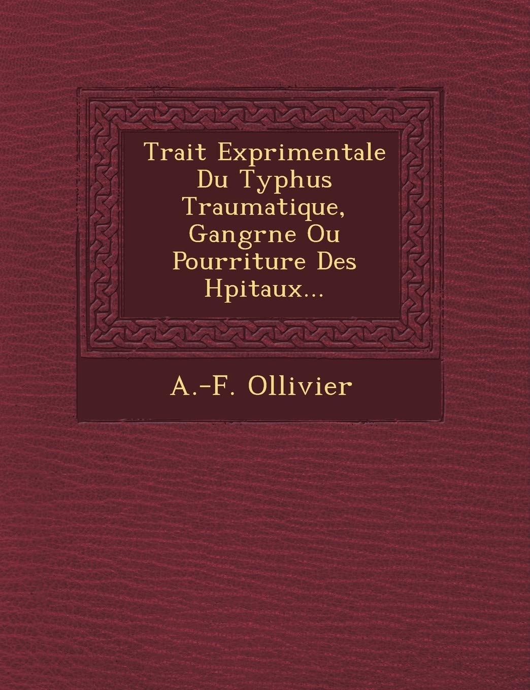 Trait Exp Rimentale Du Typhus Traumatique, Gangr Ne Ou Pourriture Des H Pitaux... book