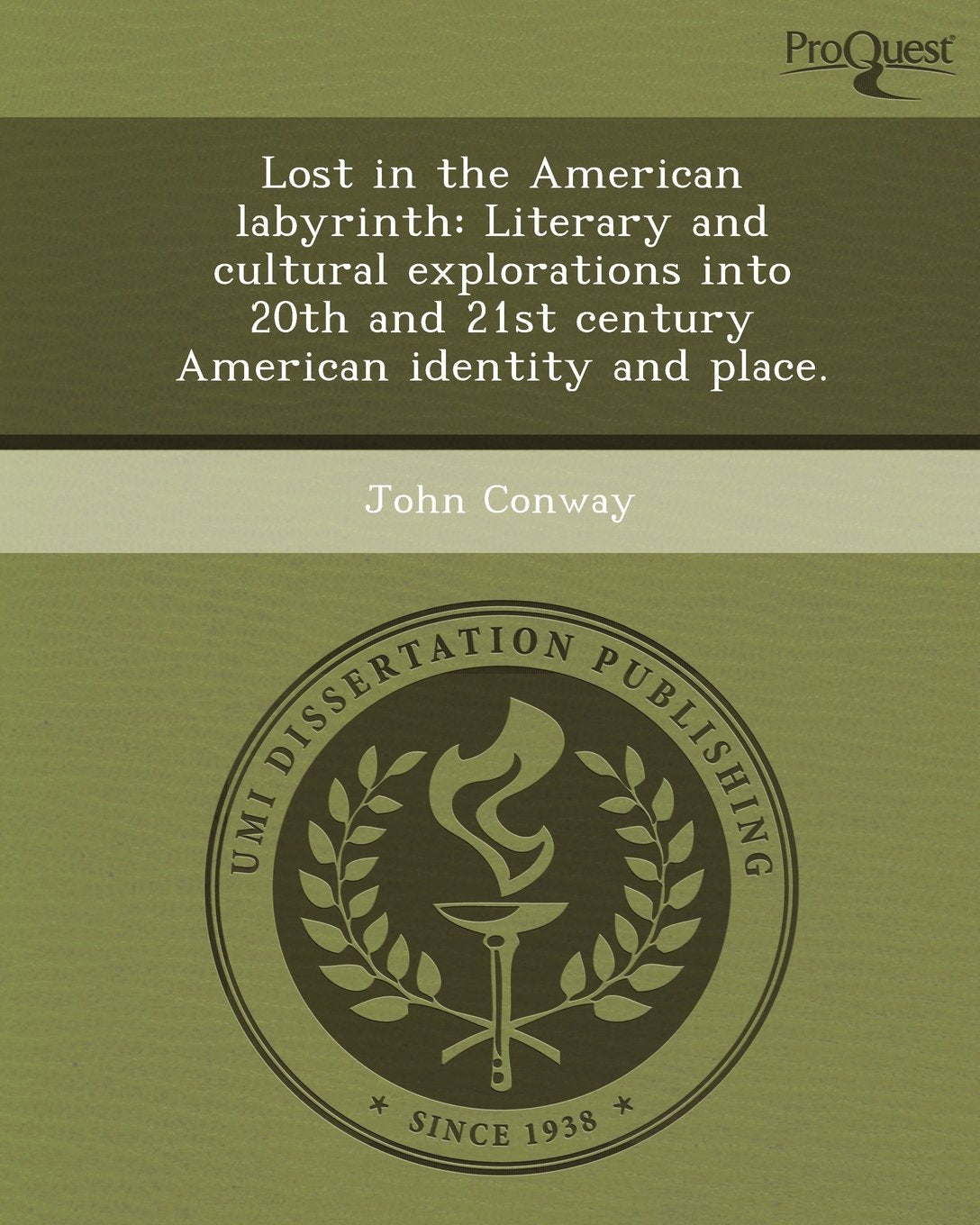 Lost in the American Labyrinth: Literary and Cultural Explorations Into 20th and 21st Century American Identity and Place Books