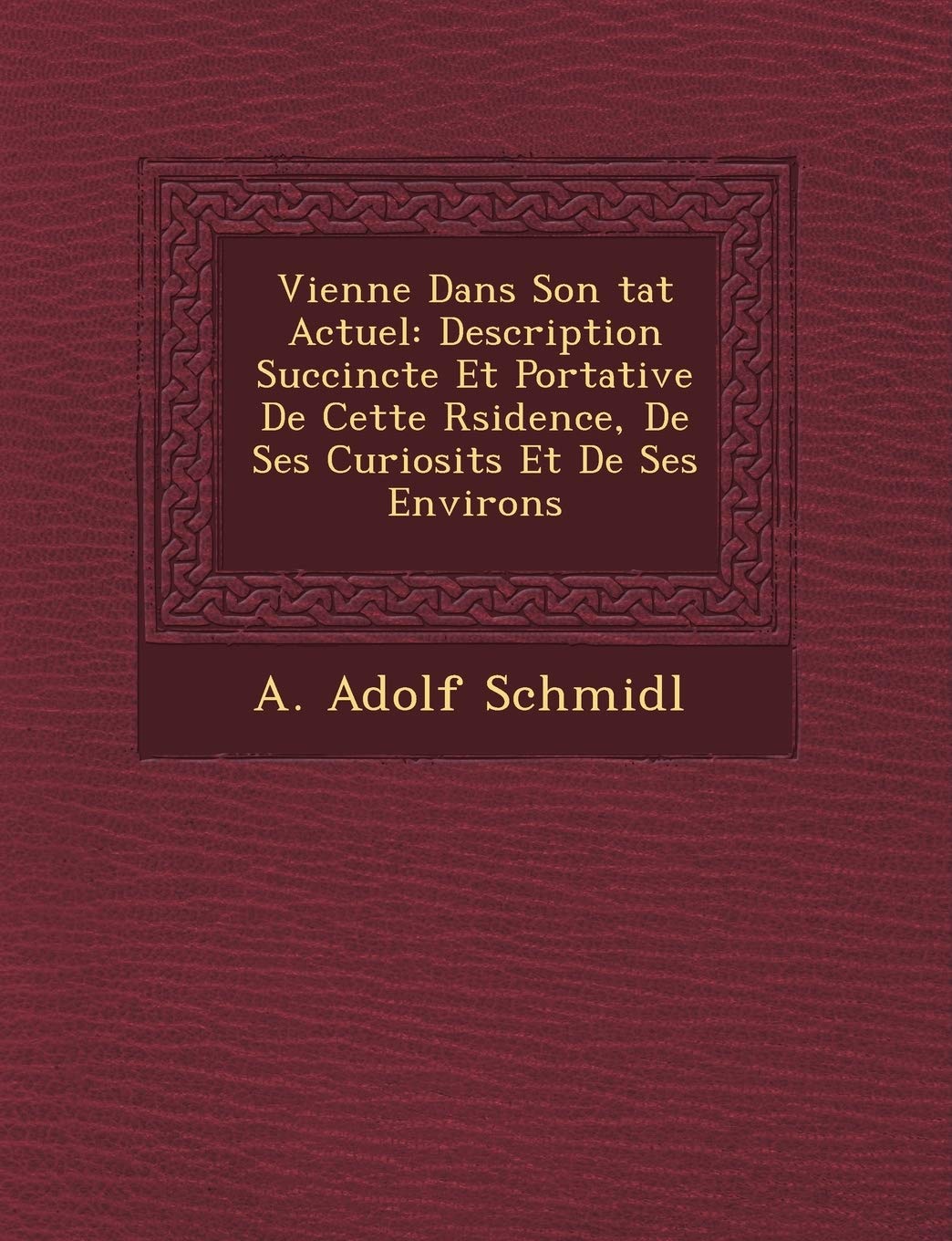 Vienne Dans Son Tat Actuel: Description Succincte Et Portative de Cette R Sidence, de Ses Curiosit S Et de Ses Environs book