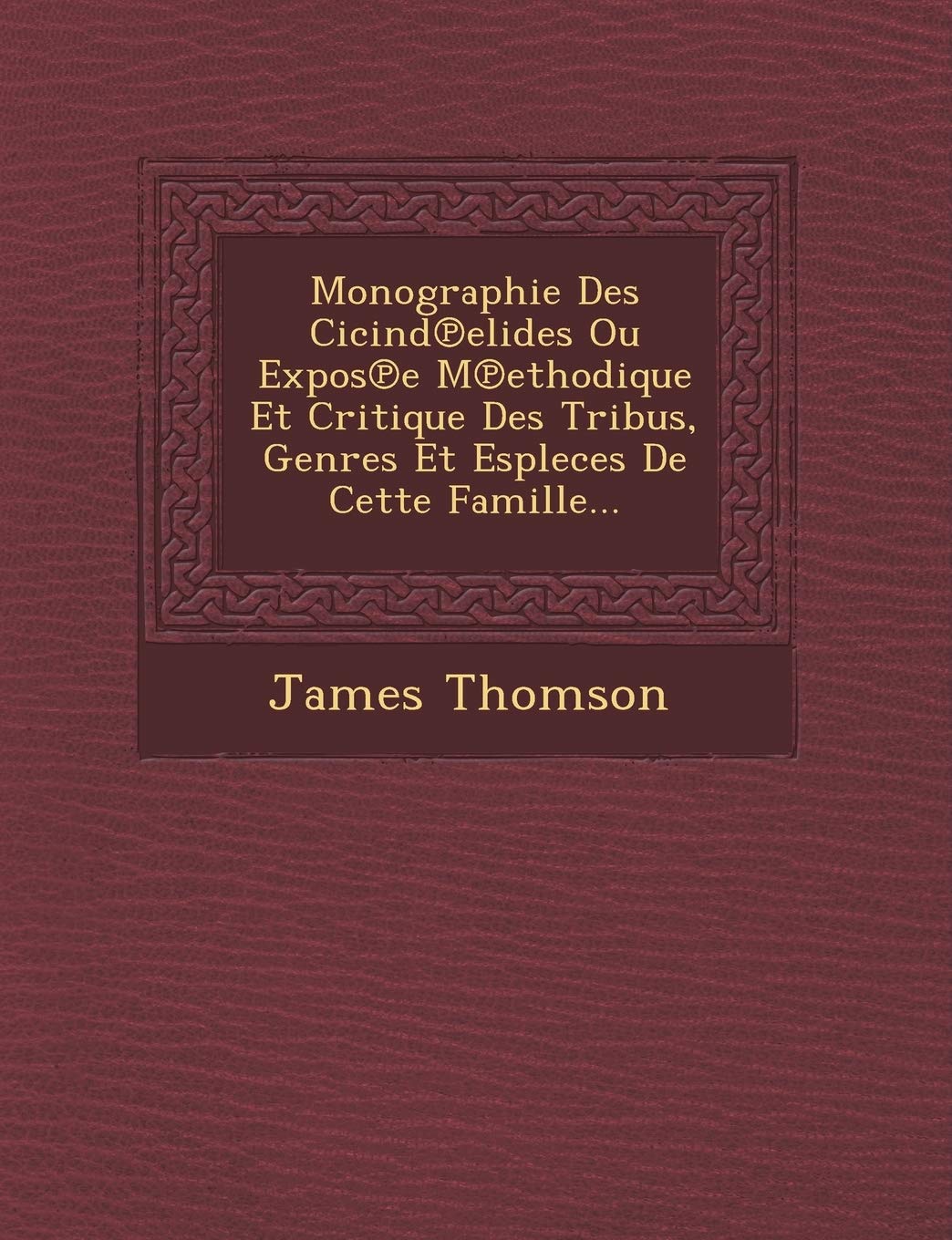 Monographie Des Cicind Elides Ou Expos E M Ethodique Et Critique Des Tribus, Genres Et Espleces de Cette Famille... book